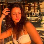 Tripti Dimri Full Wiki